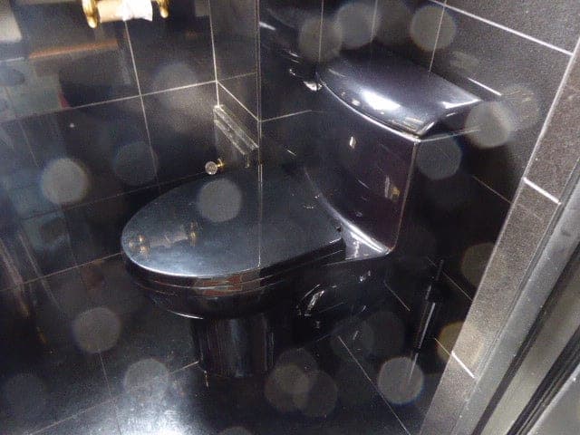 American Standard Champion 4 Elongated 1 Piece Toilet