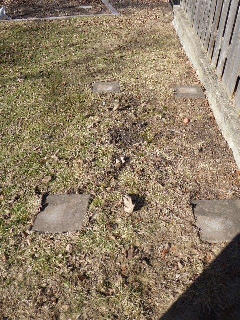 Patio Blocks