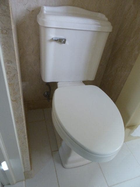 RAK-WINDSOR Syphonic Close Coupled Water Closet Alpine White
